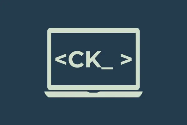 CKaya Secret Diary project preview